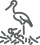 storch_pict.png storch_pict.png