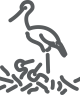 storch_pict.png storch_pict.png